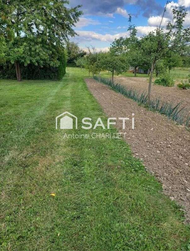 Photo 5 - Terrain à CLION