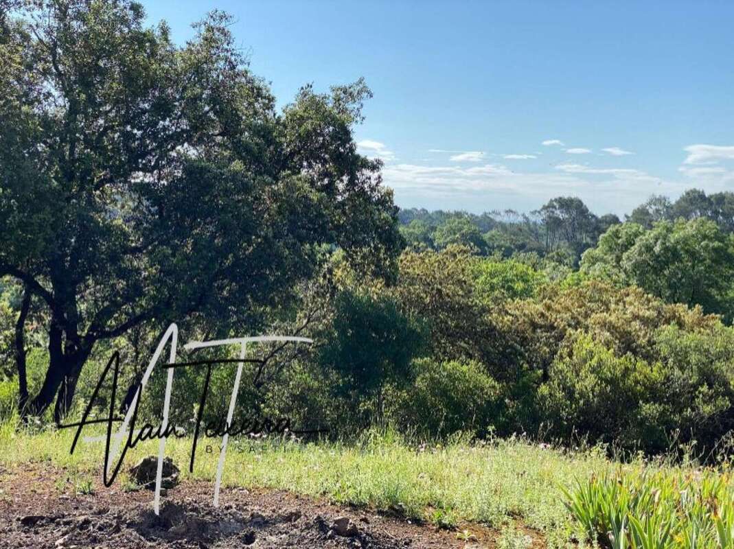 Photo 2 - Terrain à LORGUES