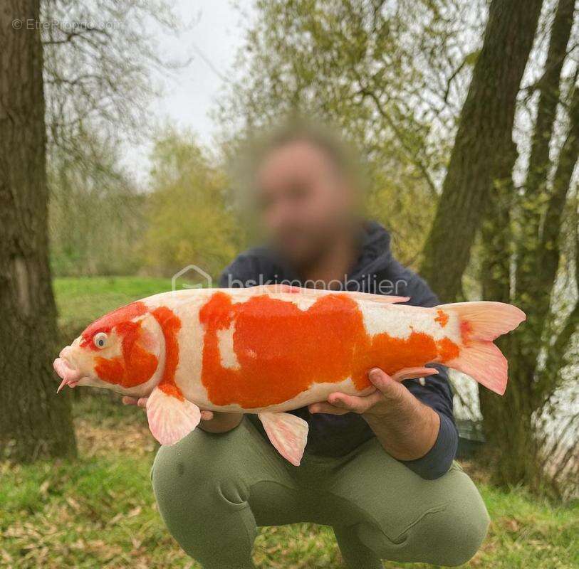 Terrain à SAVONNIERES