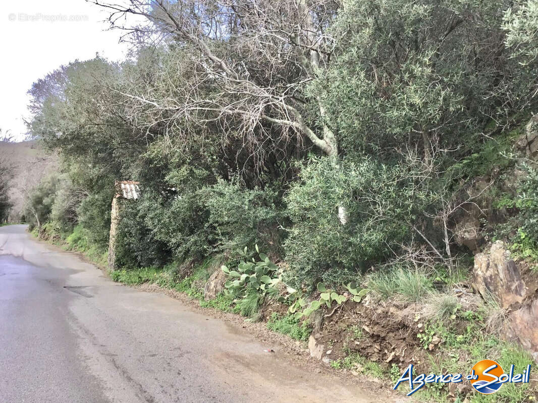 Terrain à BANYULS-SUR-MER