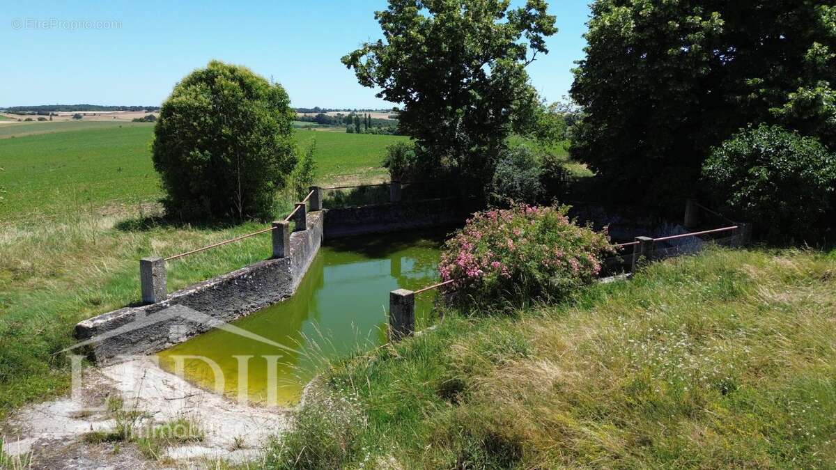 Corps de ferme en pierre avec vue panoramique sur la campagne gersoise et les Pyrénées - photo 7