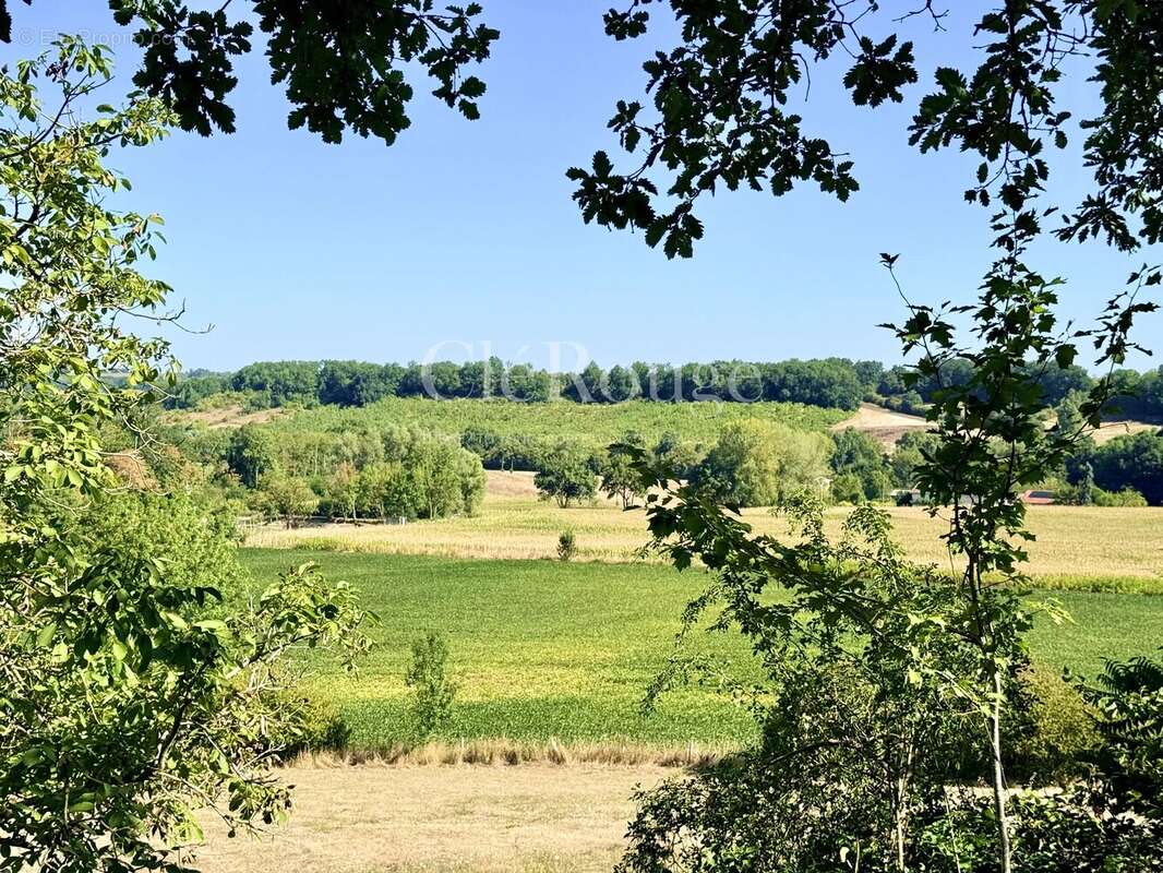 Près d'Eymet - Magnifique château de 5/6 chambres, sur un terrain de 1,6 hectare - photo 30
