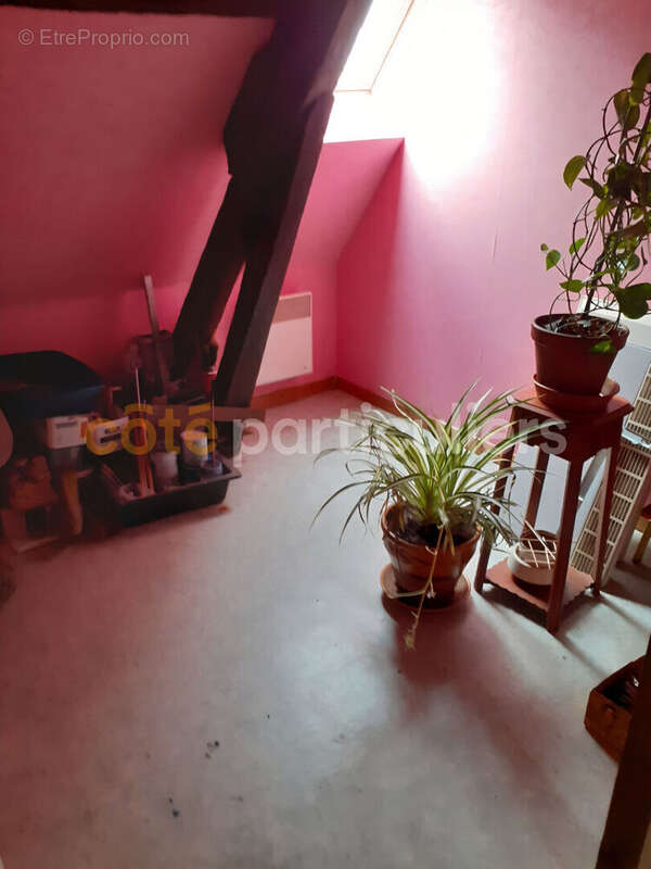 Chateau renard - photo 6