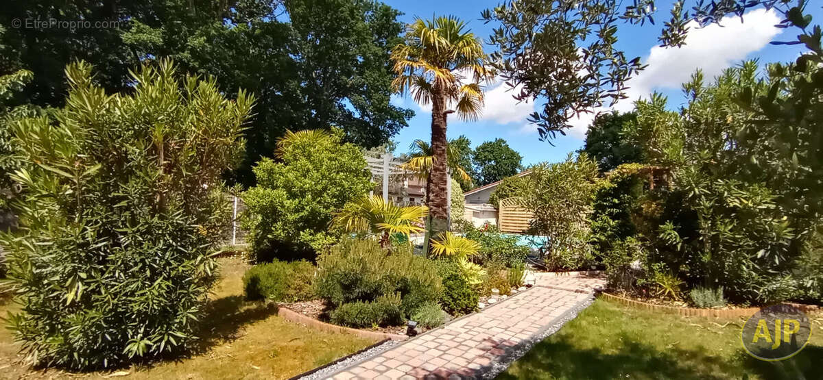Maison à LEGE-CAP-FERRET