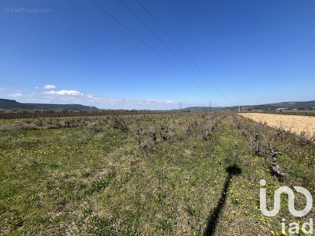 Photo 1 - Terrain à CODOLET