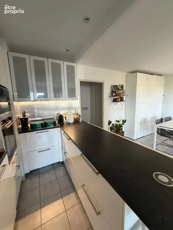 Appartement t3 + 2 parking + cave / residence de standing la palmeraie toulouse - photo 3