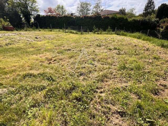 Terrain à RUELLE-SUR-TOUVRE