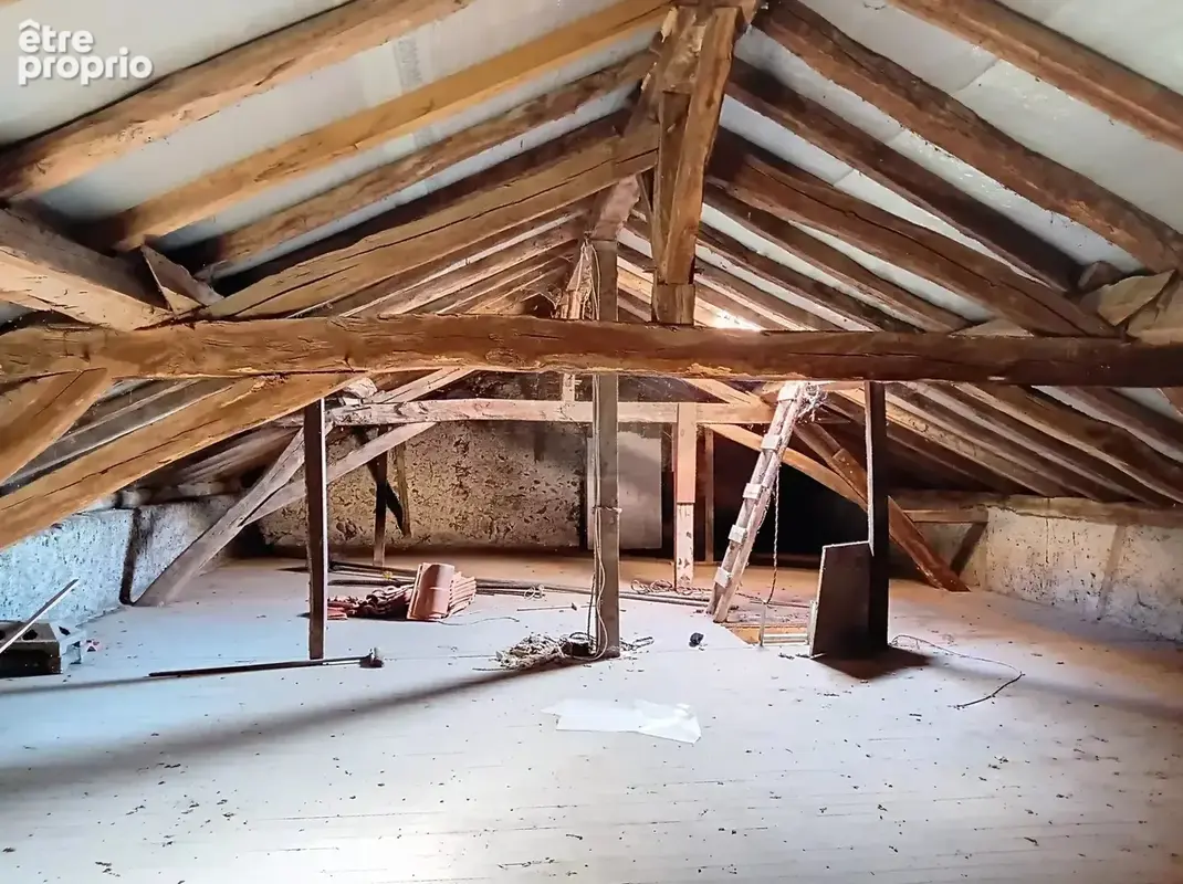 Grande maison avec garage - photo 17