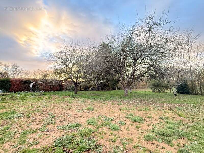 Maison à FRESSELINES