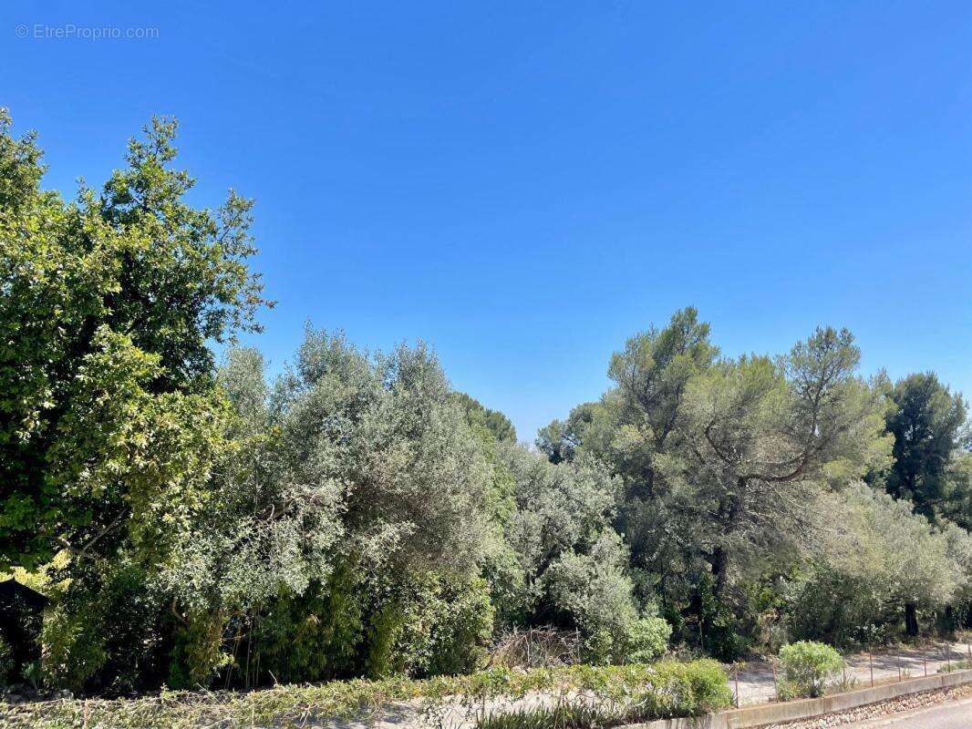 Belle opportunité - T4 avec extérieur - Toulon (83200) - photo 9