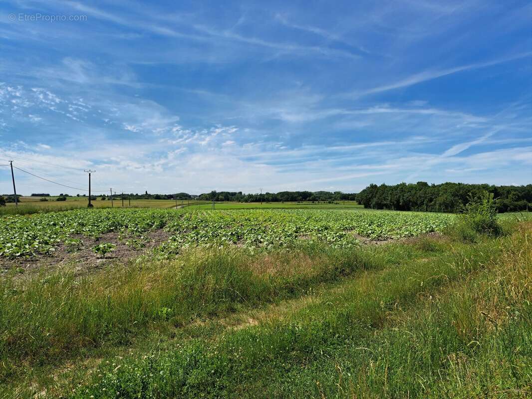 Charmante ferme rénovée avec 2 maisons d'amis - photo 16