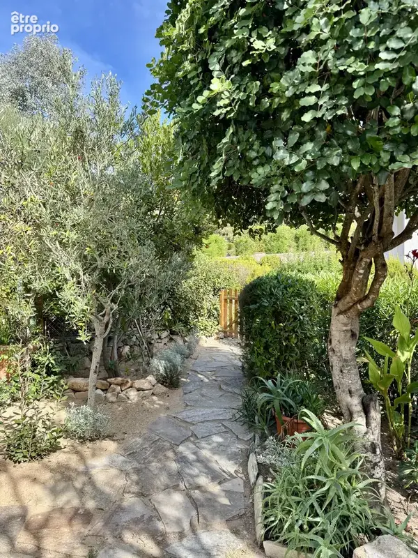 Maison T3 vue mer - Les Hameaux de Sampiero - photo 37