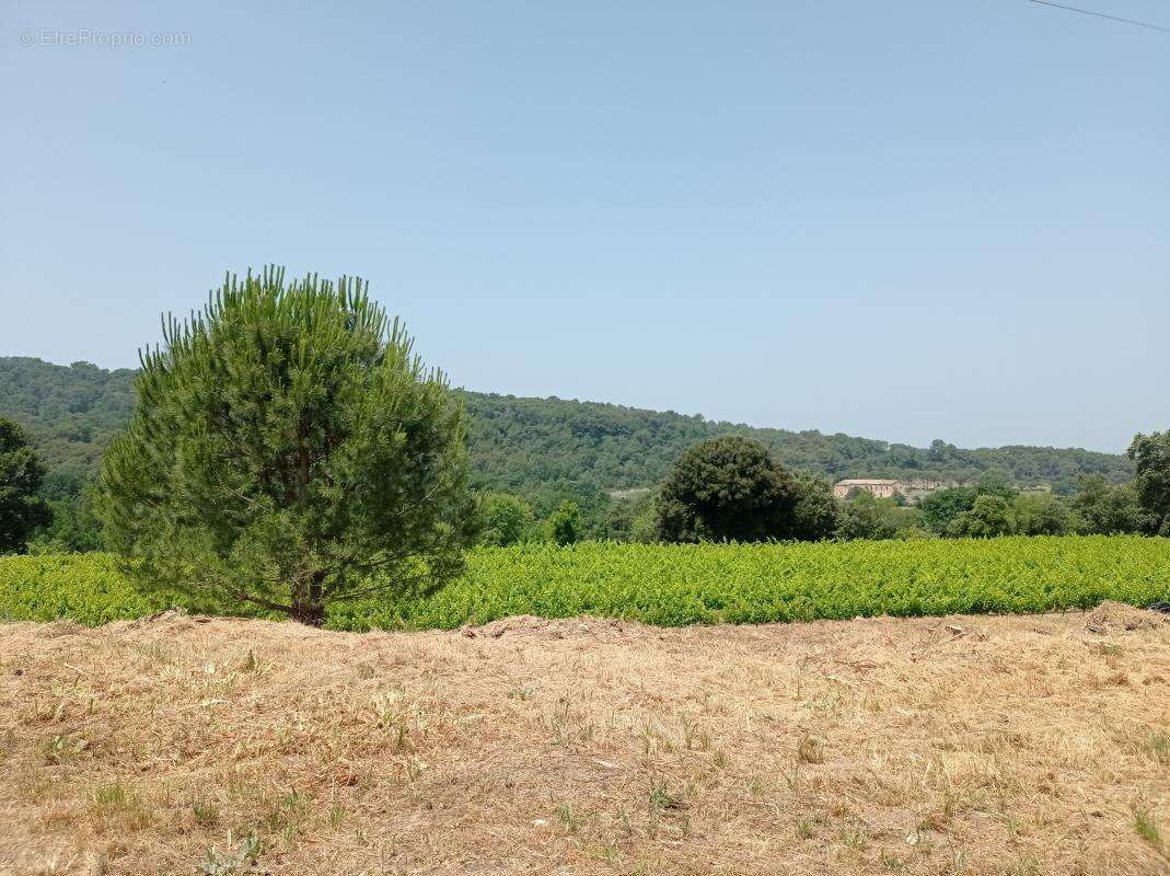 Terrain à SABRAN