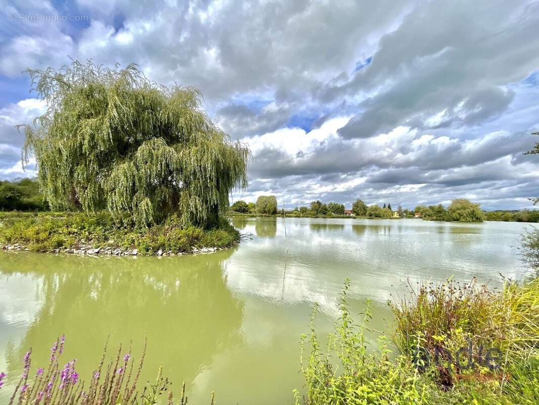 Exclusivité  maison 8 pièces avec piscine et étang à arpenans (70200) - photo 20
