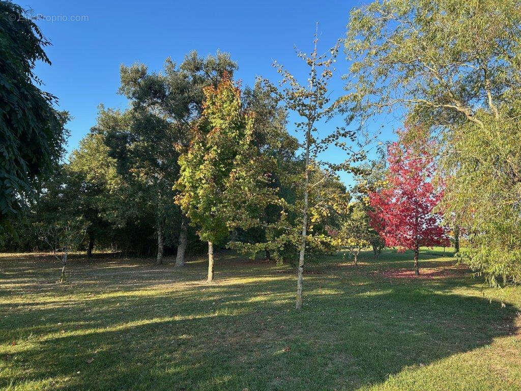 Maison à XAINTRAILLES