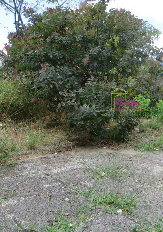 Maison à SARTROUVILLE
