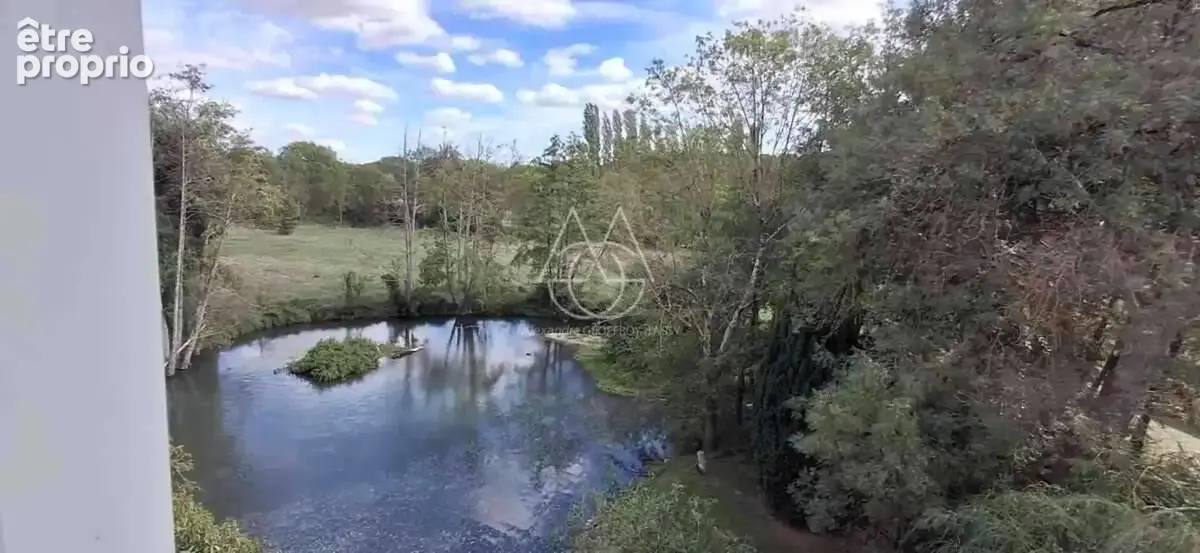 Entre Tours et Amboise, découvrez un moulin du XVIe siècle au cadre exceptionnel sur 3.4ha - photo 13