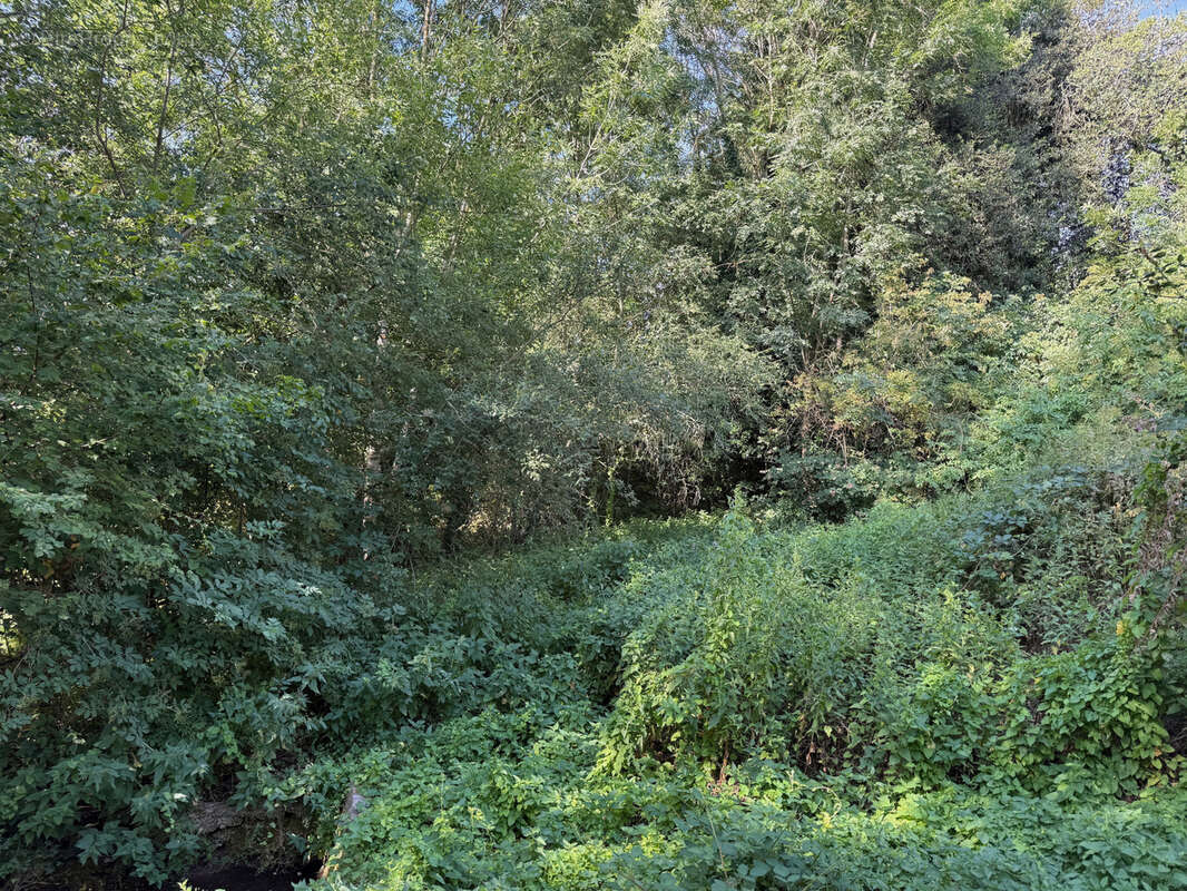 Auv 1225: Maison de caractère, grande grange, toits neufs, 1640m2 - photo 72