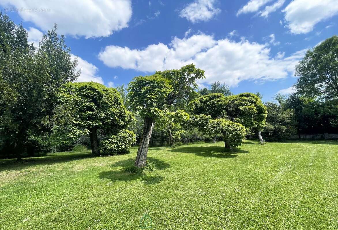 Maison à CHERVES-RICHEMONT