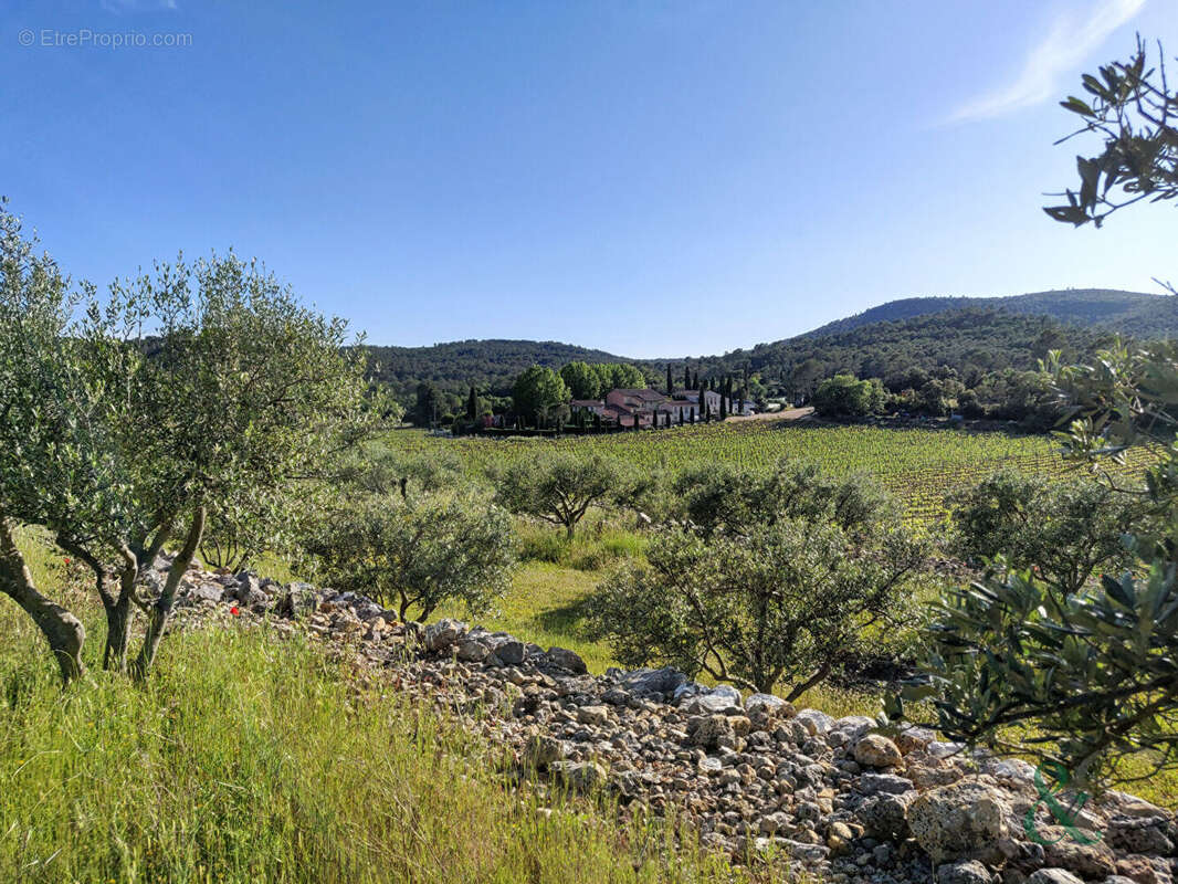 Terrain à CARNOULES