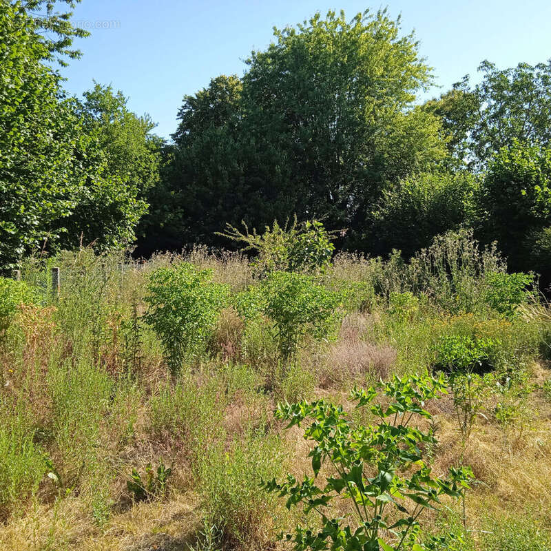 Maison à MAUVES-SUR-HUISNE