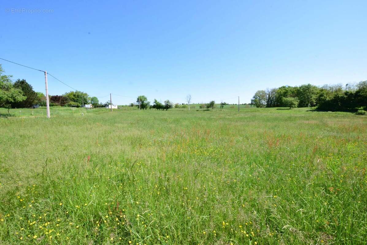 DSC_1068 - Terrain à AURIGNAC