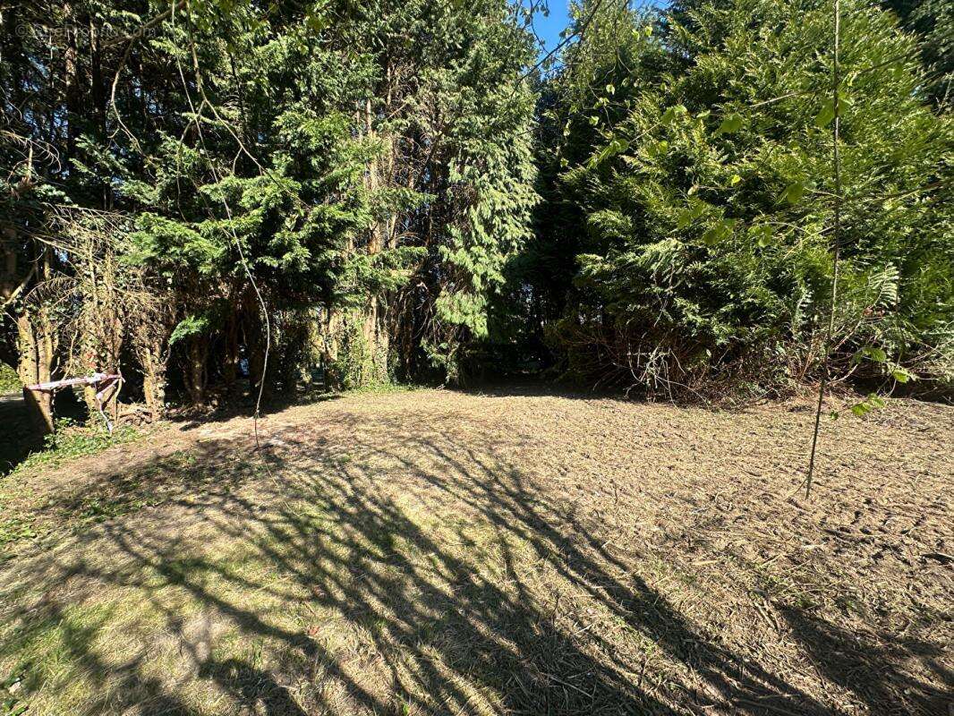 Maison à PONT-L&#039;EVEQUE