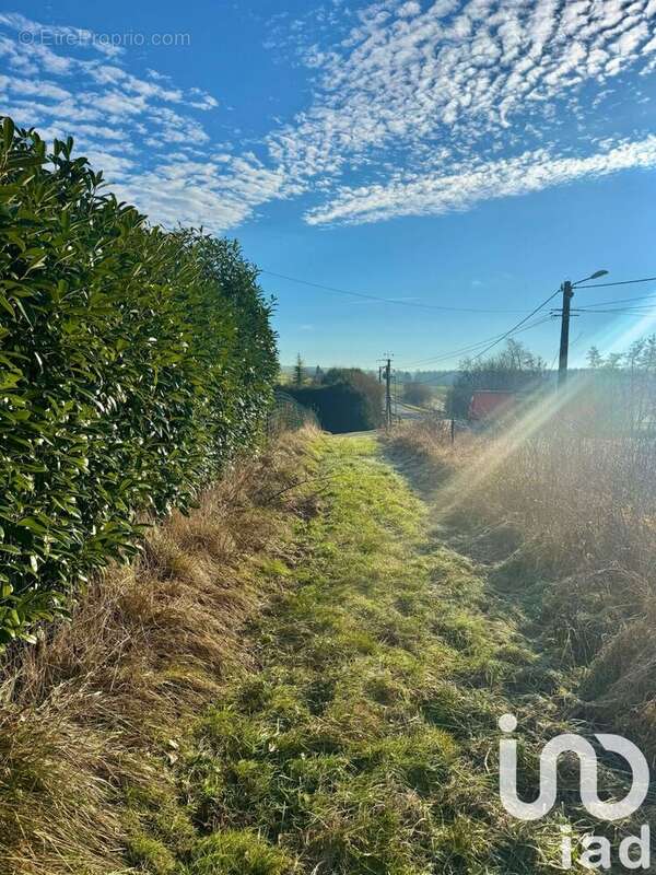 Photo 4 - Terrain à SACHY