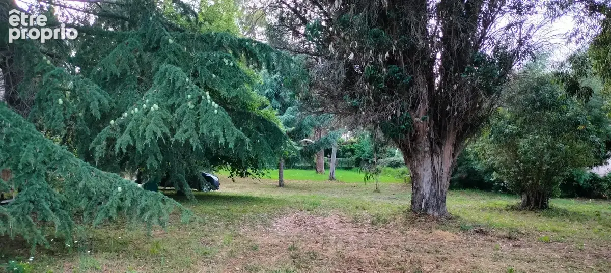 A vendre Terrain de 2200 m2, plat, arboré et clôturé à SAN NICOLAO (HAUTE CORSE) - photo 10