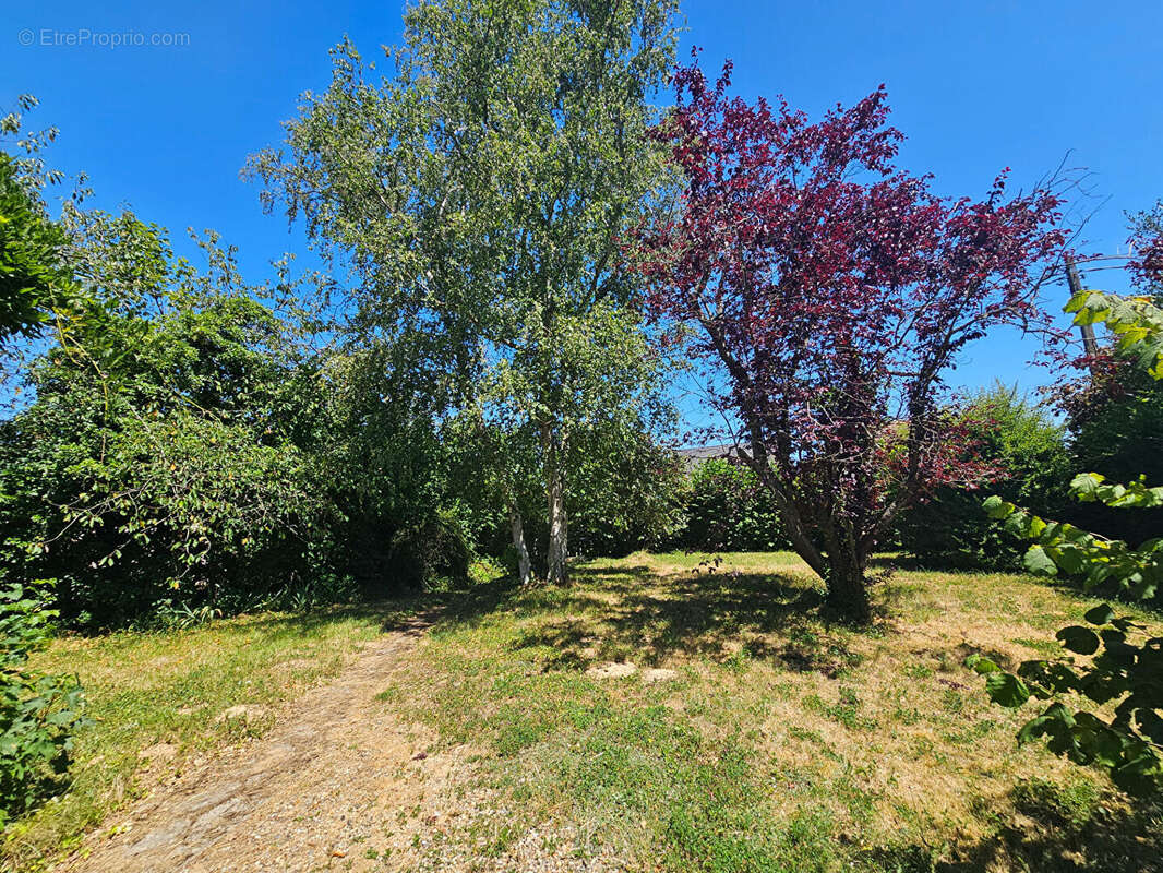 Maison 33m² à beynes - photo 5