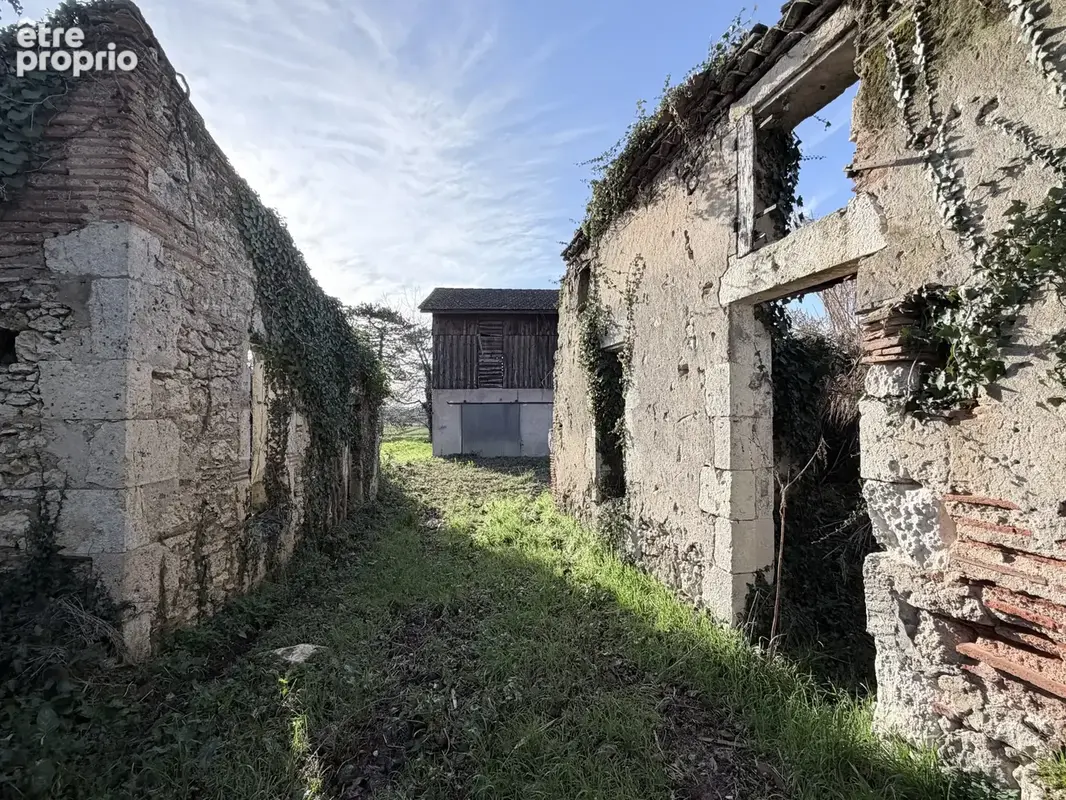 Séchoir à réhabiliter - photo 6