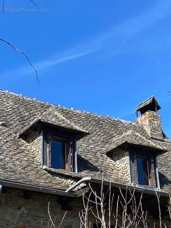RARE:  Moulin auvergnat authentique au bord d'un ruisseau - photo 23