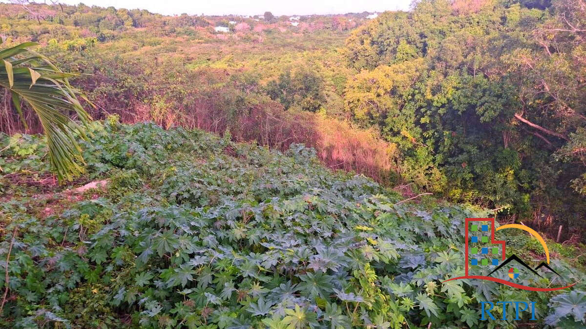 Terrain à SAINTE-ANNE