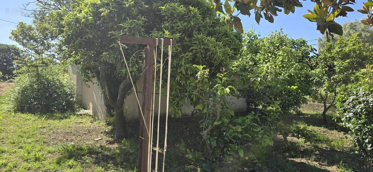 Maison à GHISONACCIA