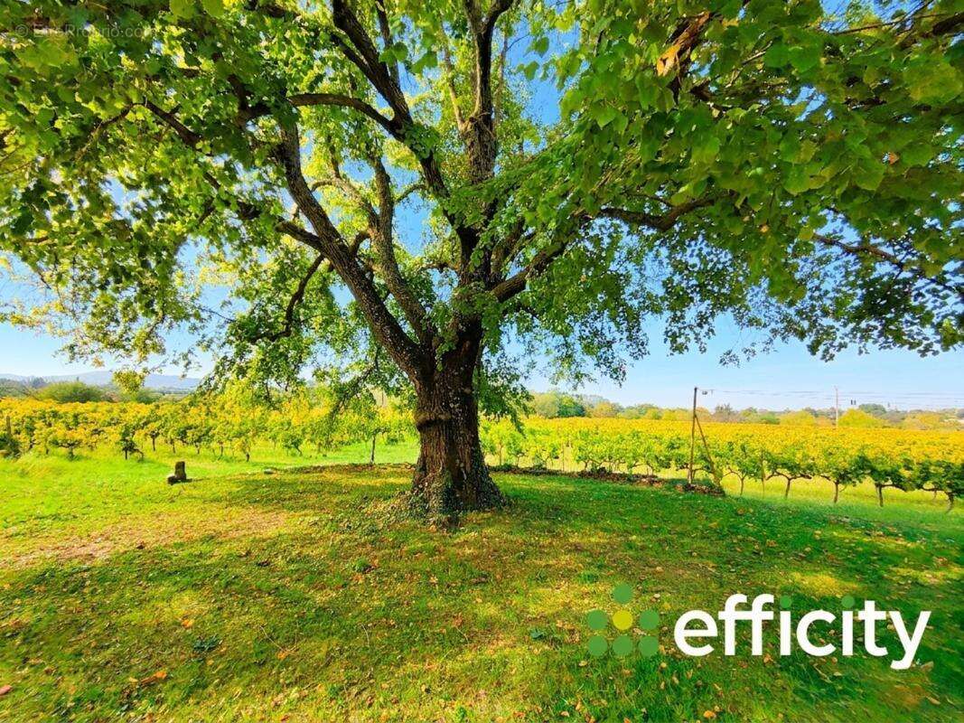 Maison à PERNES-LES-FONTAINES