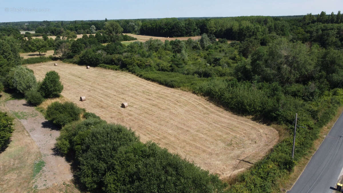 Terrain a batir à pruniers en sologne - photo 3