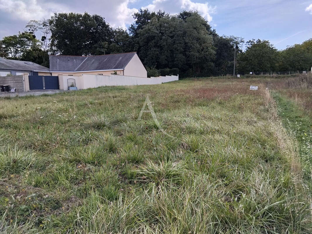 Terrain à LOURESSE-ROCHEMENIER