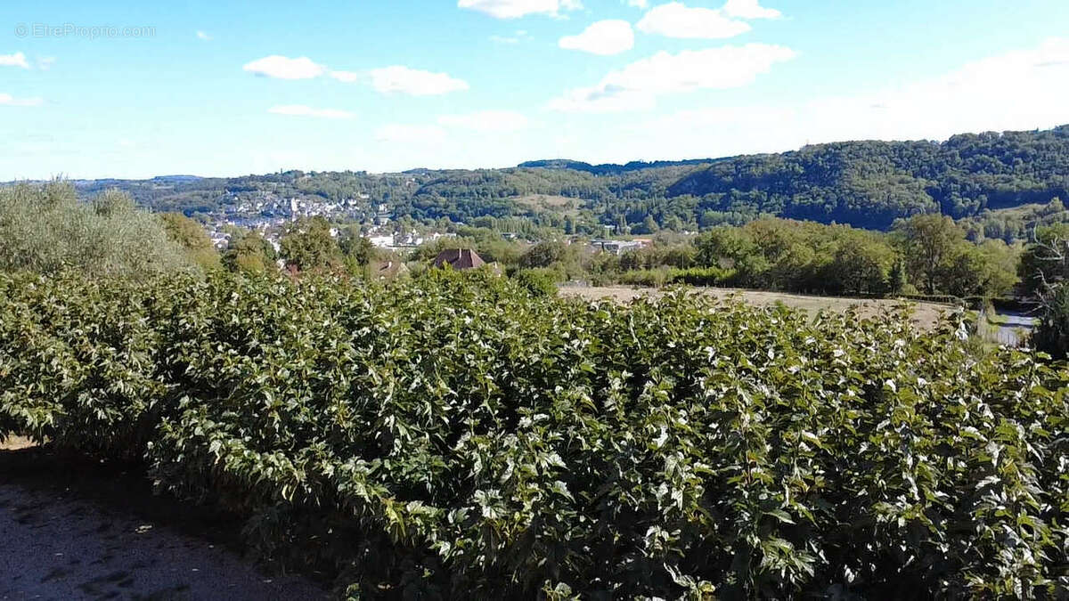 Maison à TERRASSON-LAVILLEDIEU
