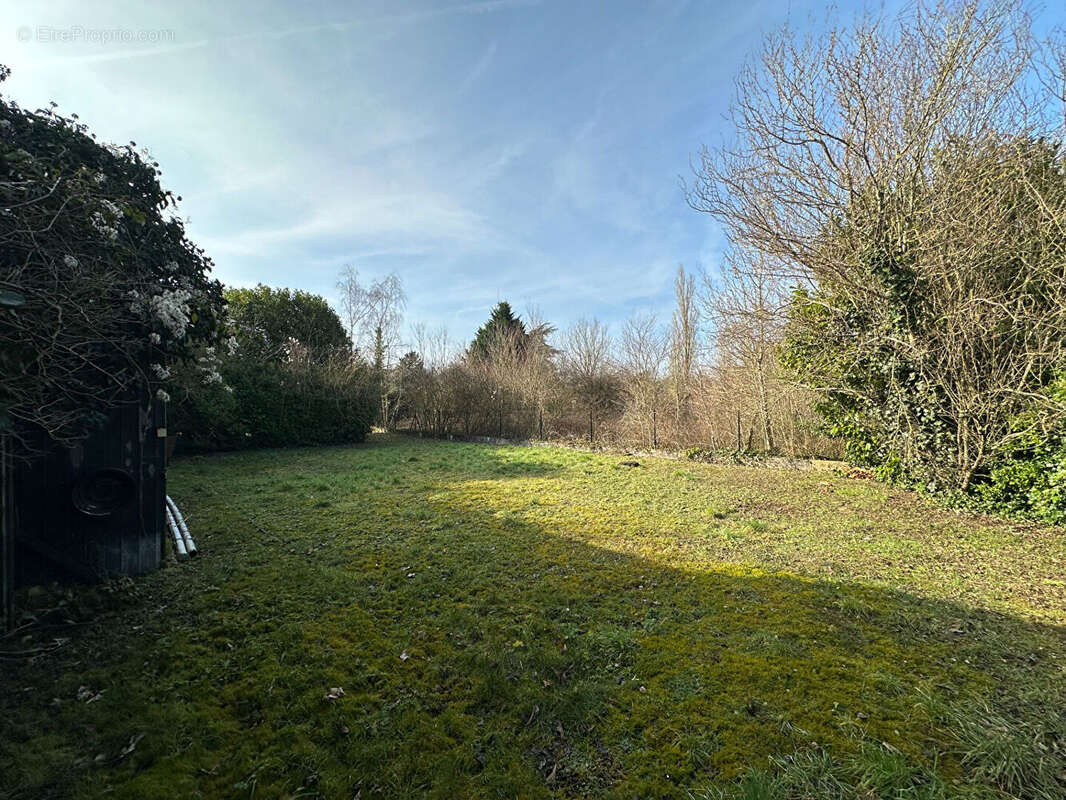 Terrain à GERMIGNY-L'EVEQUE