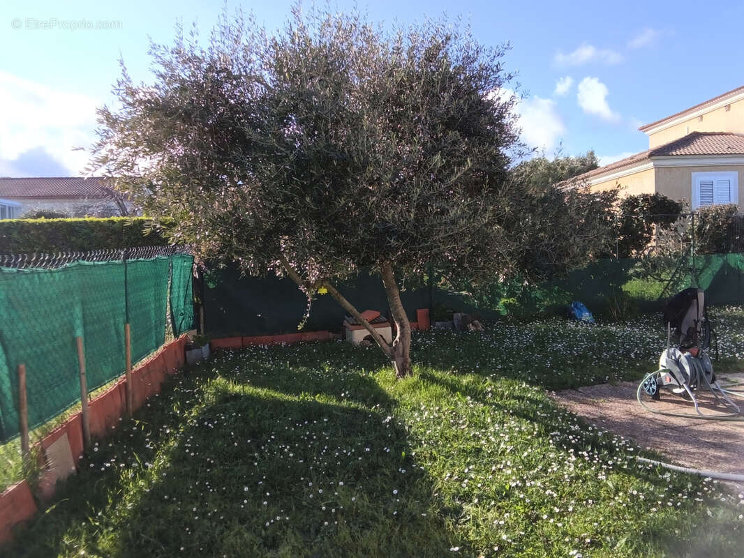 Maison à POGGIO-MEZZANA
