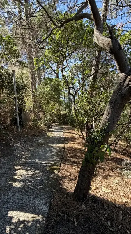 Petit spot situé à Lacanau - photo 5