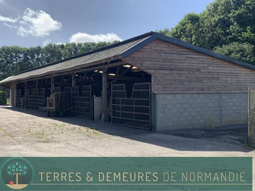 Dans le département de l'EURE, entre LIEUREY et PONT AUDEMER, A vendre en exclusivité un haras de 25 ha - photo 19