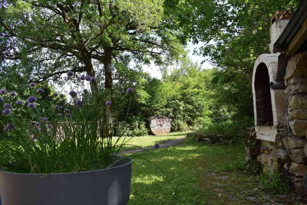 Propriété nature sans vis-à-vis ? 5,2 hectares à La Bachellerie - photo 17
