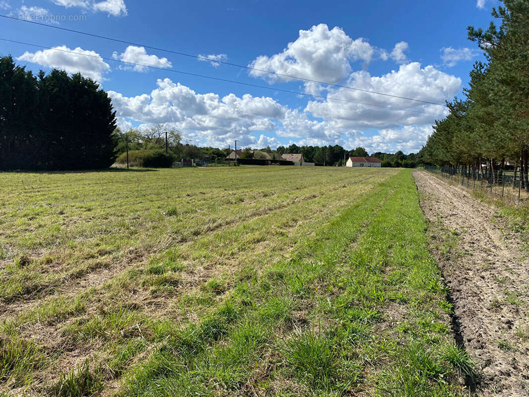 Terrain à CHATILLON-SUR-CHER
