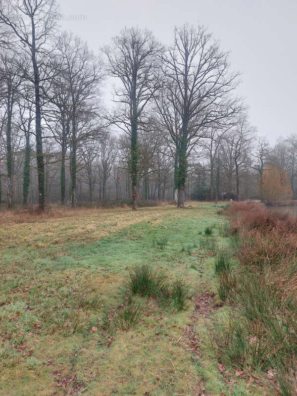 Terrain à MONTIGNE-LES-RAIRIES