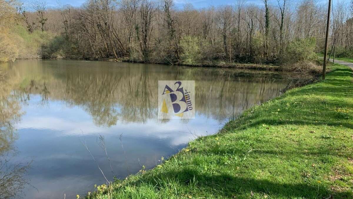 Terrain à DUSSAC