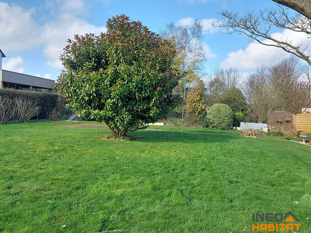 Terrain à TINTENIAC