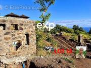 Terrain à SAINT-LEU