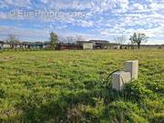 Terrain à CARCARES-SAINTE-CROIX