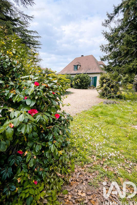 Photo 5 - Maison à SAINT-LAURENT-DES-VIGNES